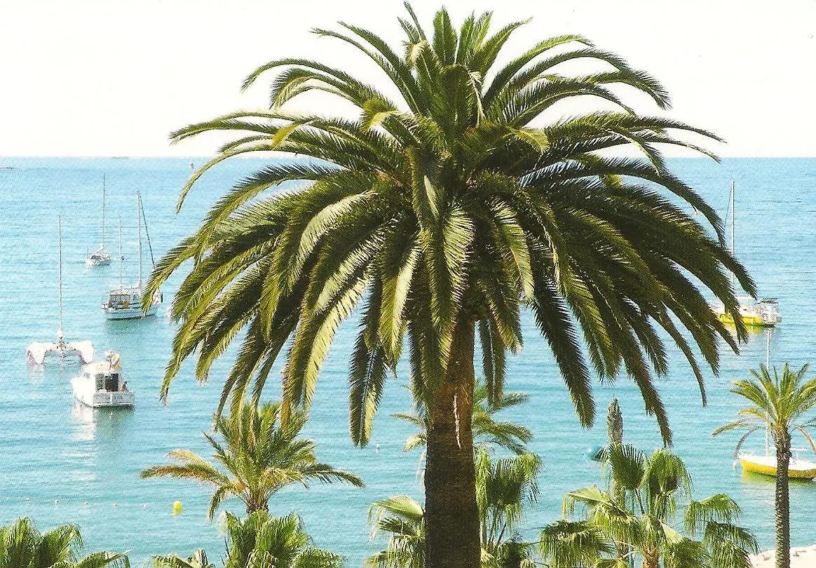 Appartement STUDIO CLIMATISE. Proche parking, commerces et mer à Carqueiranne